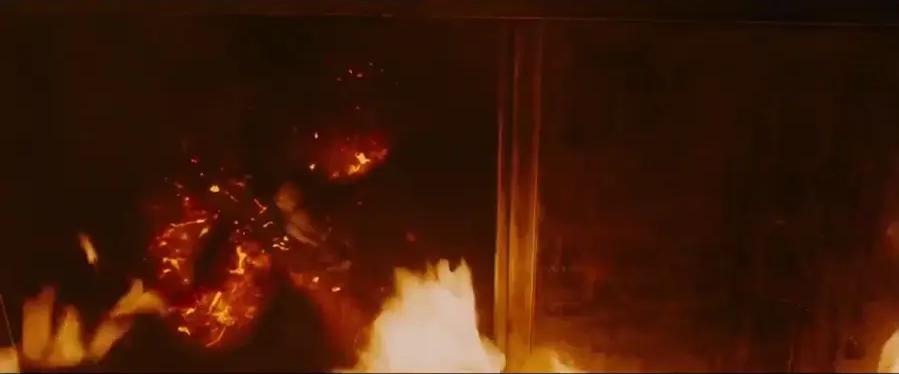 全裸出镜?*伦乱**产子?全程马赛克才能播的戛纳金棕榈