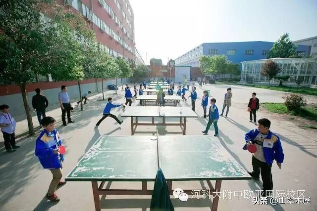 洛阳市欧亚国际学院,洛阳欧亚国际学院怎么样