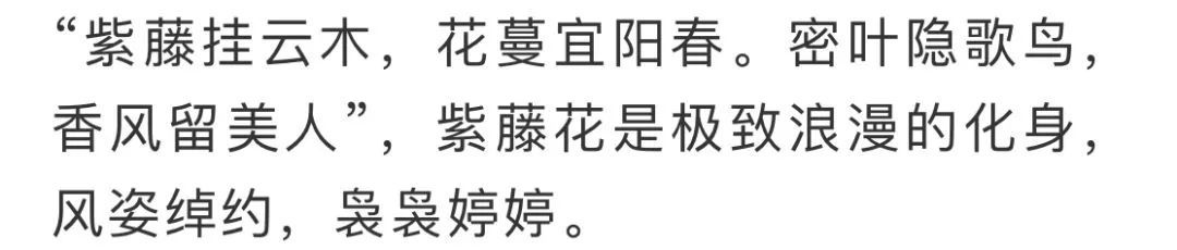看到花的时候,不知是什么花?那就收下这份百花图谱