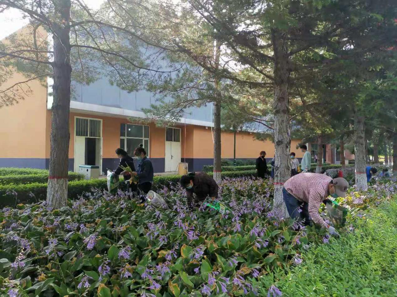 创新管理模式提升社区服务水平,创新管理提高效能