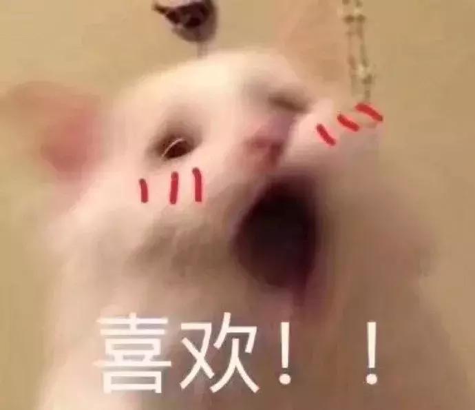 年营业额200亿的廉价批发市场,代购手里一半的假包都来自这里