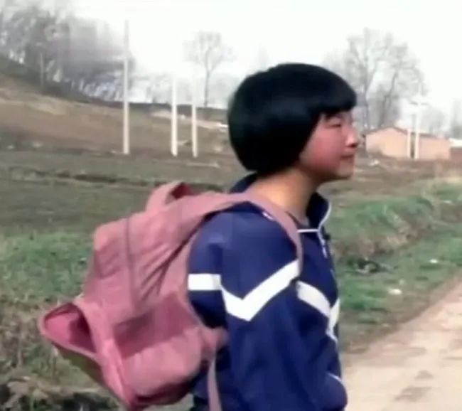 变形计杨桐网红现状,变形计戴眼镜杨桐现状