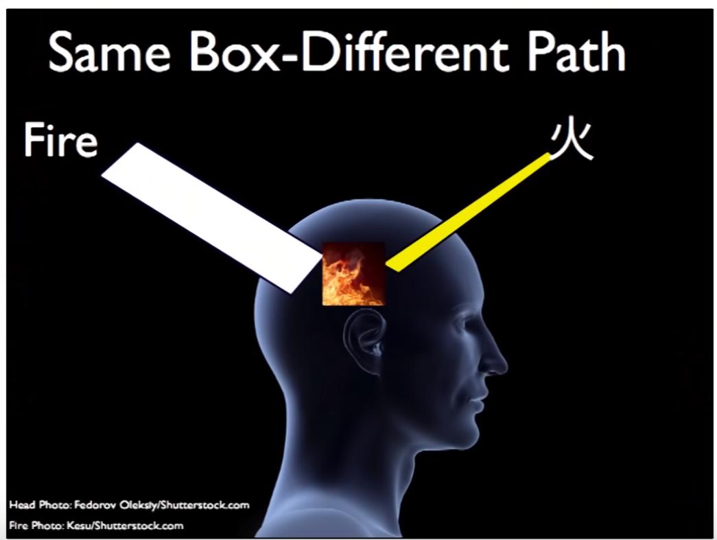 如何在6个月学好一门外语视频,成年人如何迅速掌握一门外语