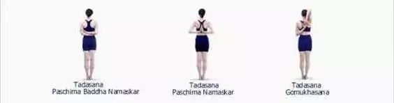 常见的艾扬格瑜伽体式,艾扬格瑜伽23个基本体式