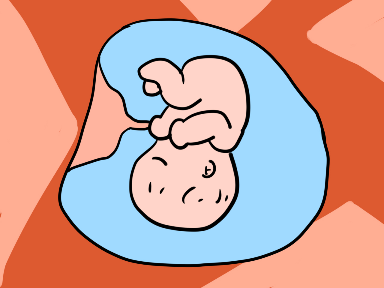 36-37周孕妈饮食,孕38周补充营养胎儿还吸收吗