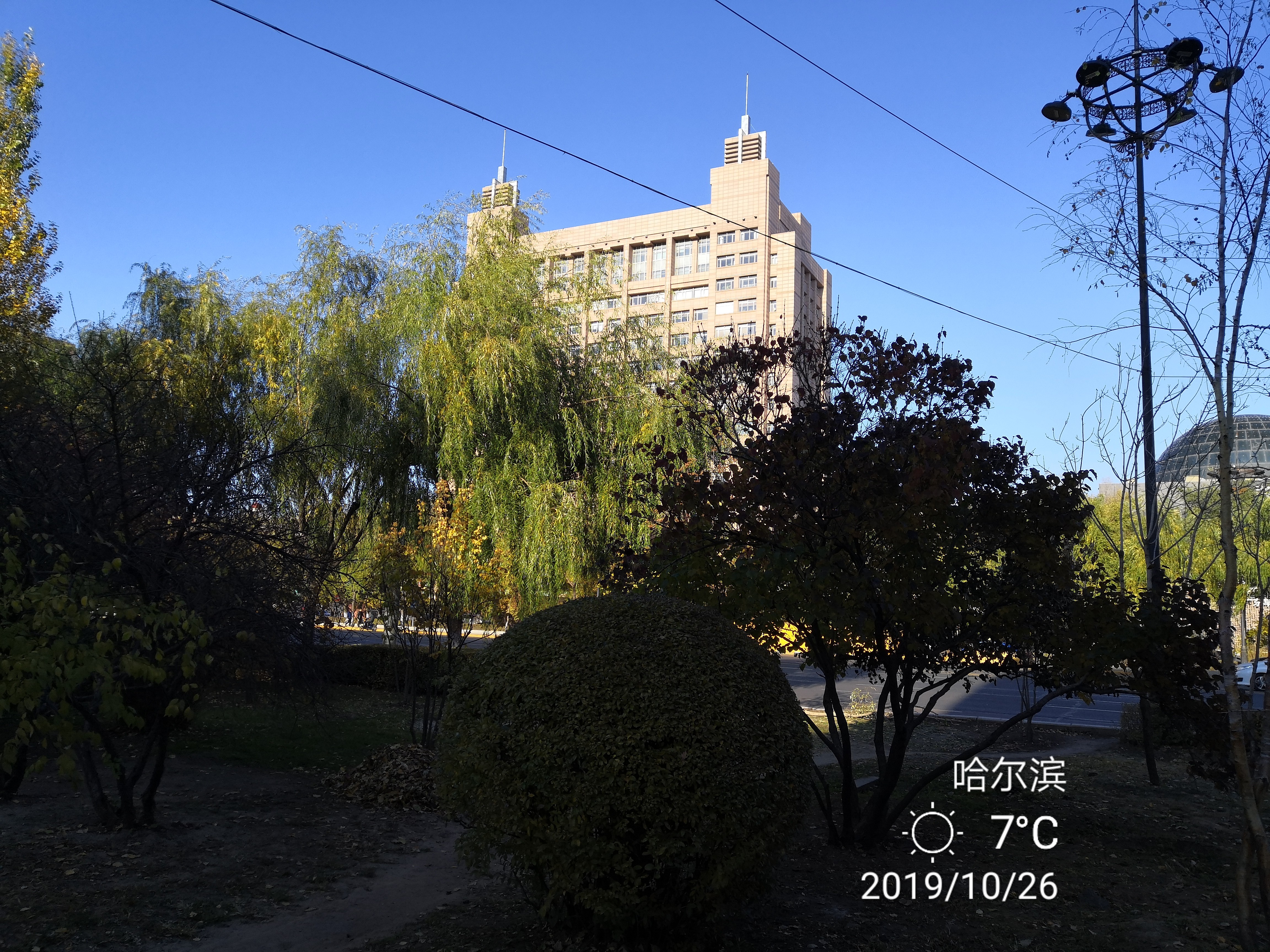 哈尔滨石化小区拆迁,哈尔滨石化小区有哪些