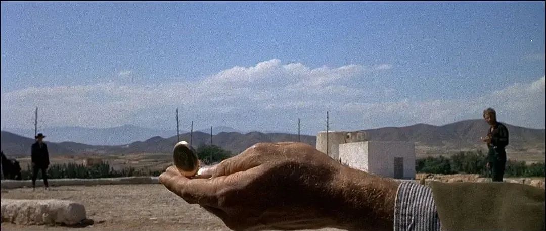 王家卫姚晨,姚晨王家卫