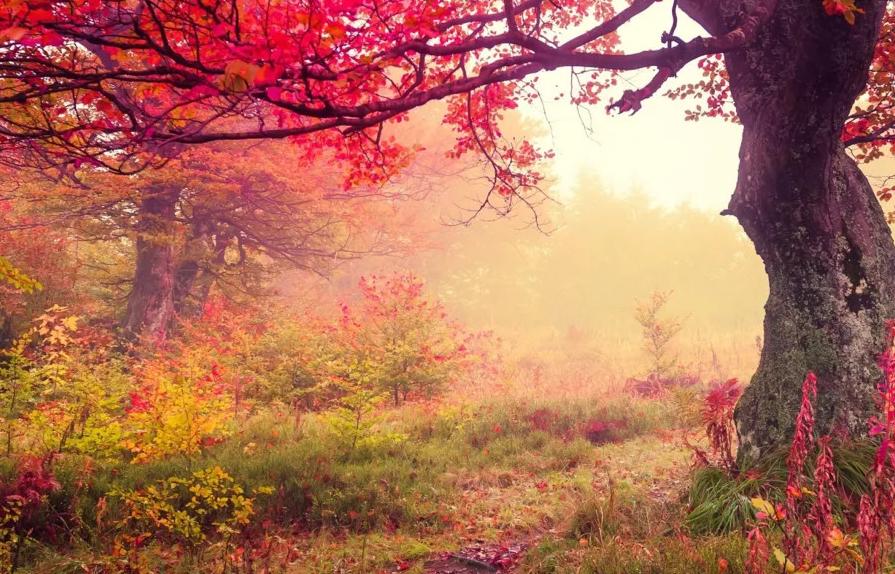 10首夏天的古诗简单又好记,5首夏天的古诗简单又好记