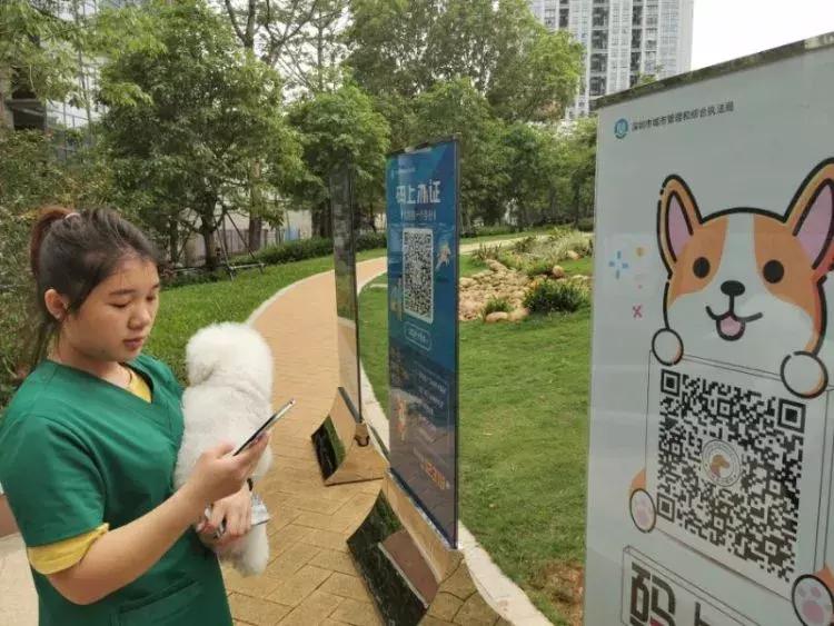 给狗狗养犬许可证,深圳养狗没养犬证罚多少