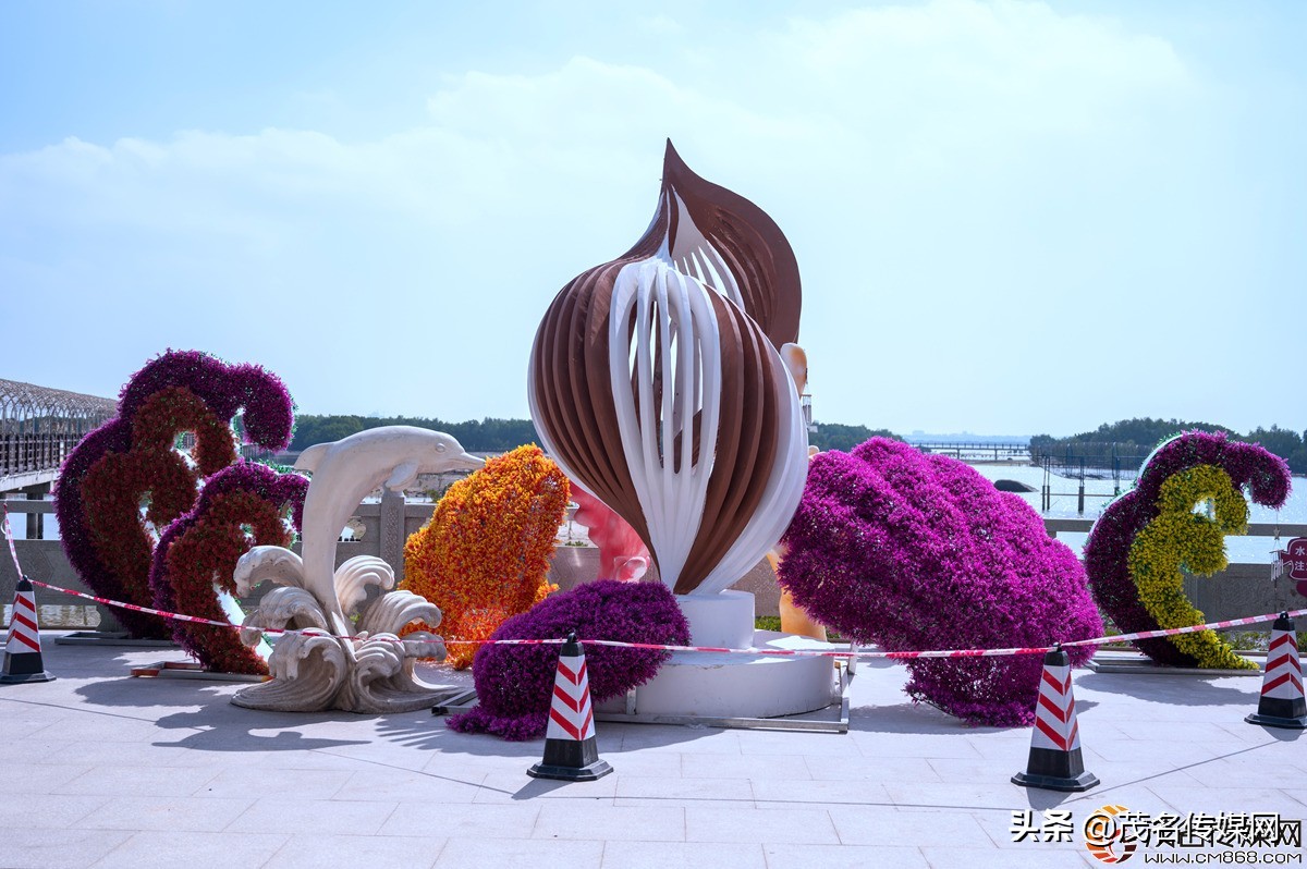 电白在崛起！——2021网络媒体看滨海（电白）采风活动