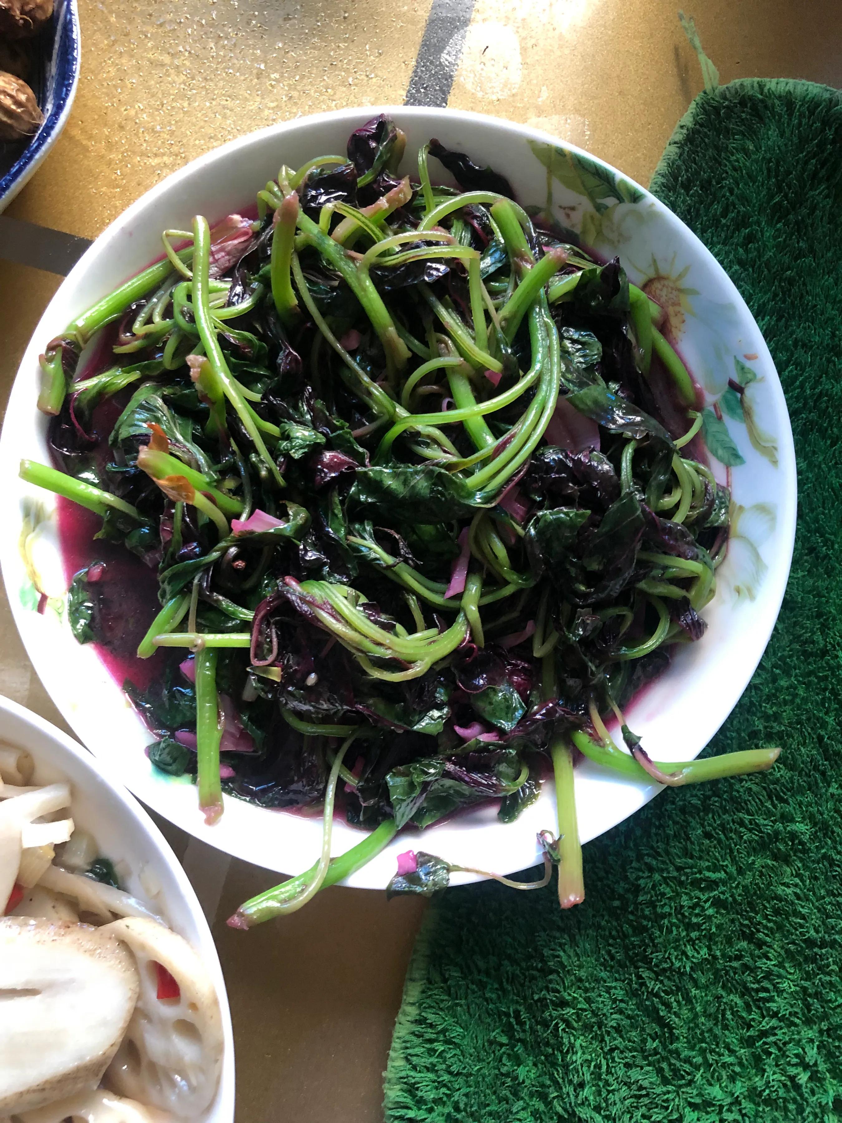 战疫期间对生命的感悟,战疫的青春感悟