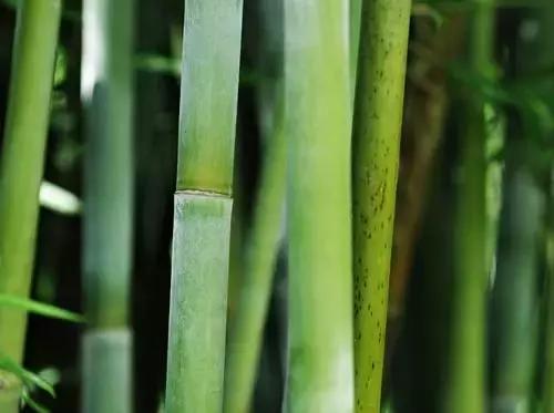 咳嗽高发季节辨证止咳才有效,儿童凌晨12点至3点咳嗽止咳方法