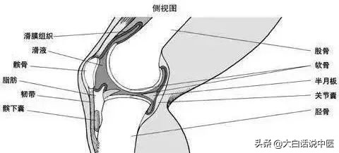 大白话说中医第七十九集,大白话说中医第二十集