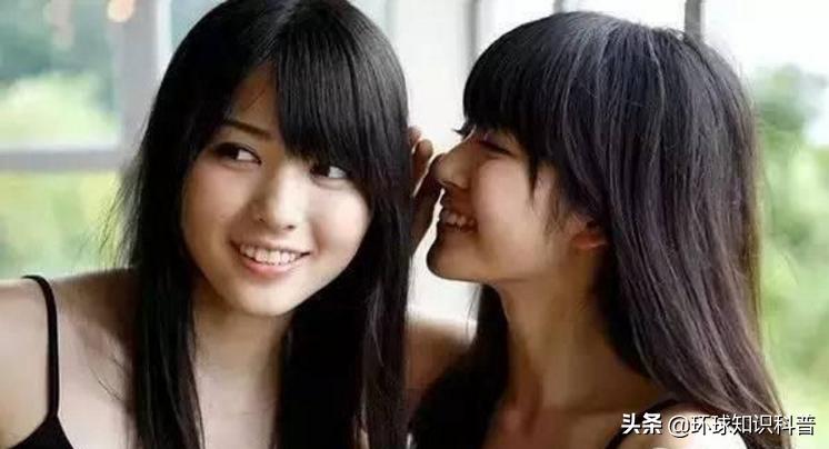 越南的奇闻奇事,越南趣闻