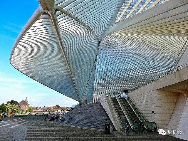 ​《脑机往事（3）—维达尔的秘密》