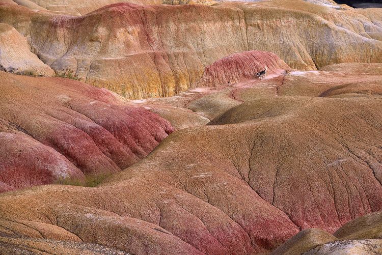 北疆神秘的地方,新疆北疆小众秘境