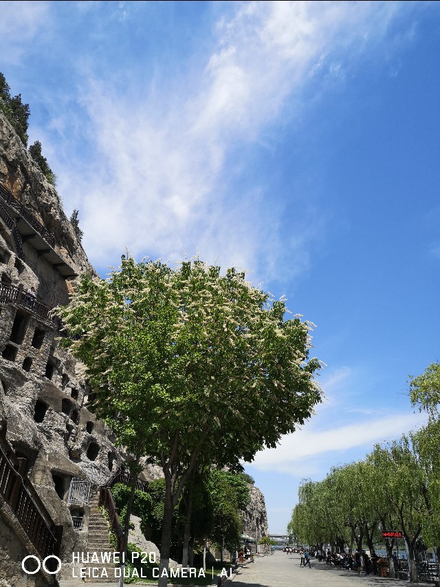 洛阳到华山一日游,洛阳到华山自驾游攻略
