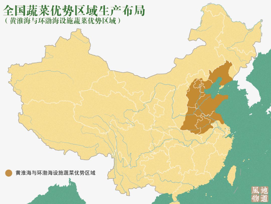 按吨起步支援湖北,背后是世界第一硬核蔬菜大国