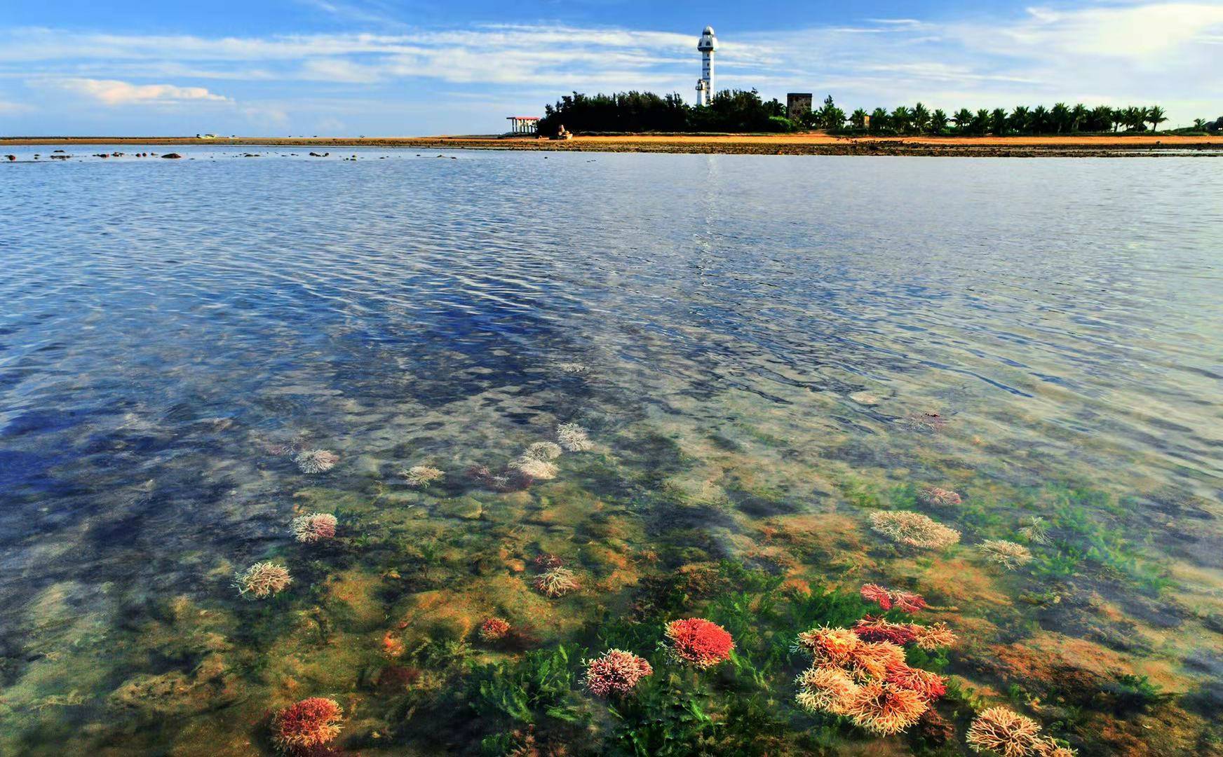 徐闻是个好地方吗,徐闻哪里有升值潜力