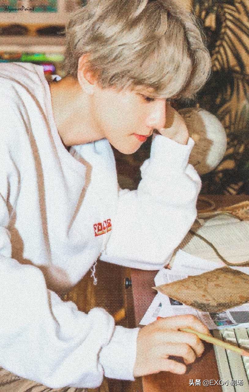 exo十一周年边伯贤loveshot,exo人间理想