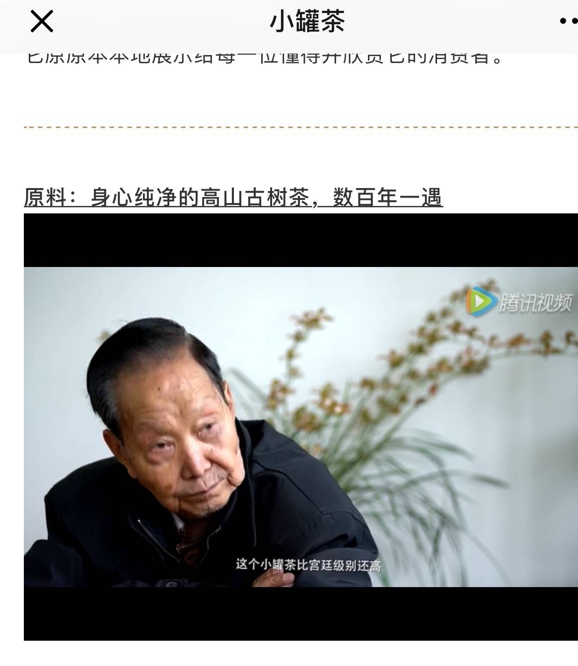 真正的茶叶是什么样的,真正的茶叶是什么样子的