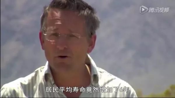 细胞饥饿疗法,细胞饥饿对细胞周期的影响