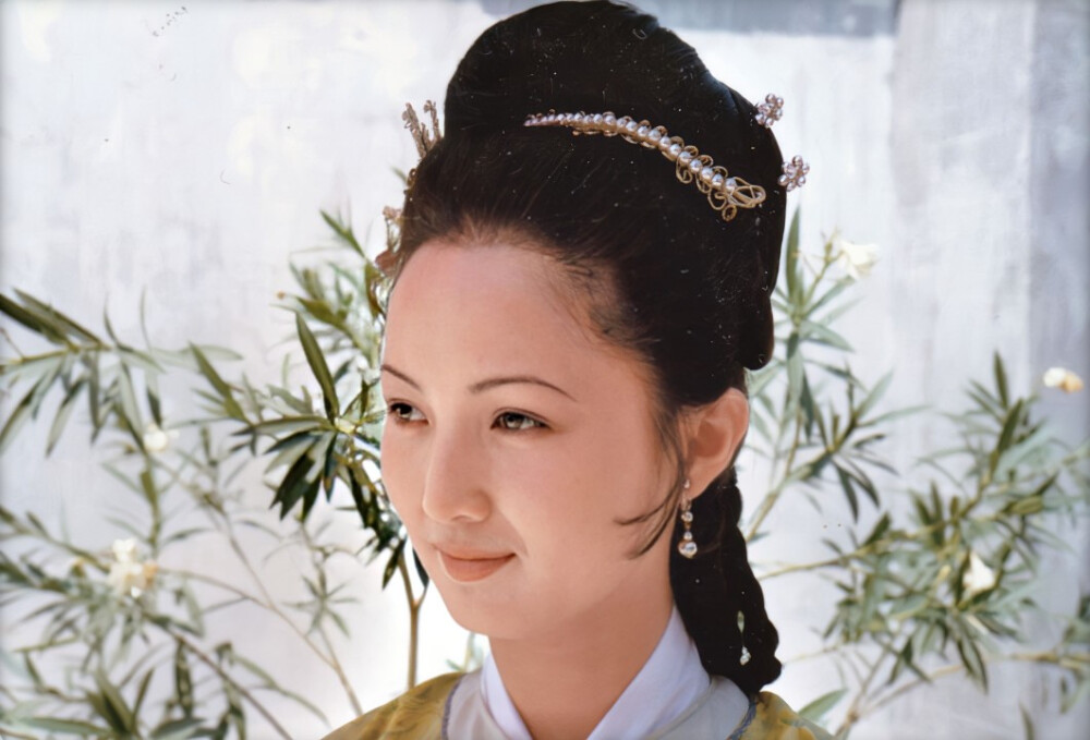 红楼梦中最经典的讽刺情节,红楼梦最具有讽刺意义的片段