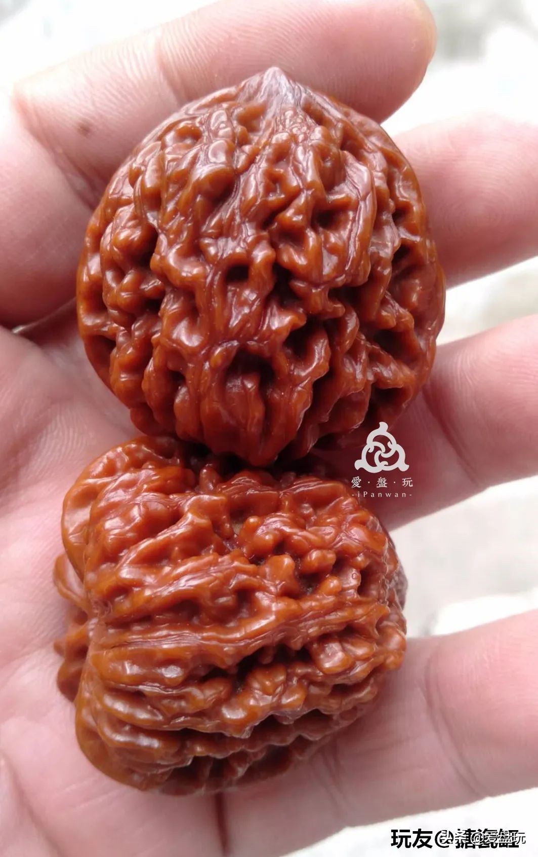 玩了3年的核桃还用刷吗,核桃想玩玉化必须刷吗