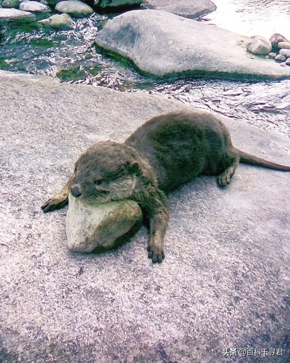 五月的最后一天是星期几,五月的第三个星期天是什么节日