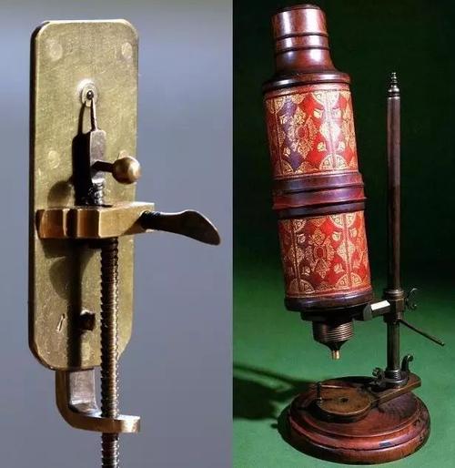 错了340年，精子游泳的方式并不是左右摆动尾巴