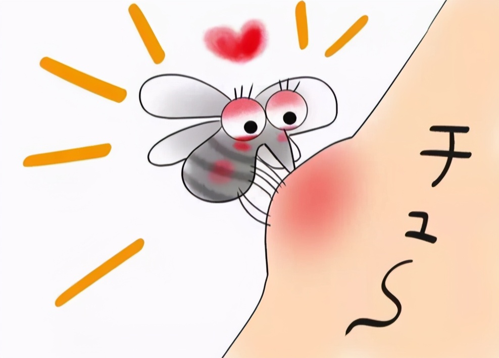 蚊子对o型血很不友好,比o型血更能吸引蚊子的血型