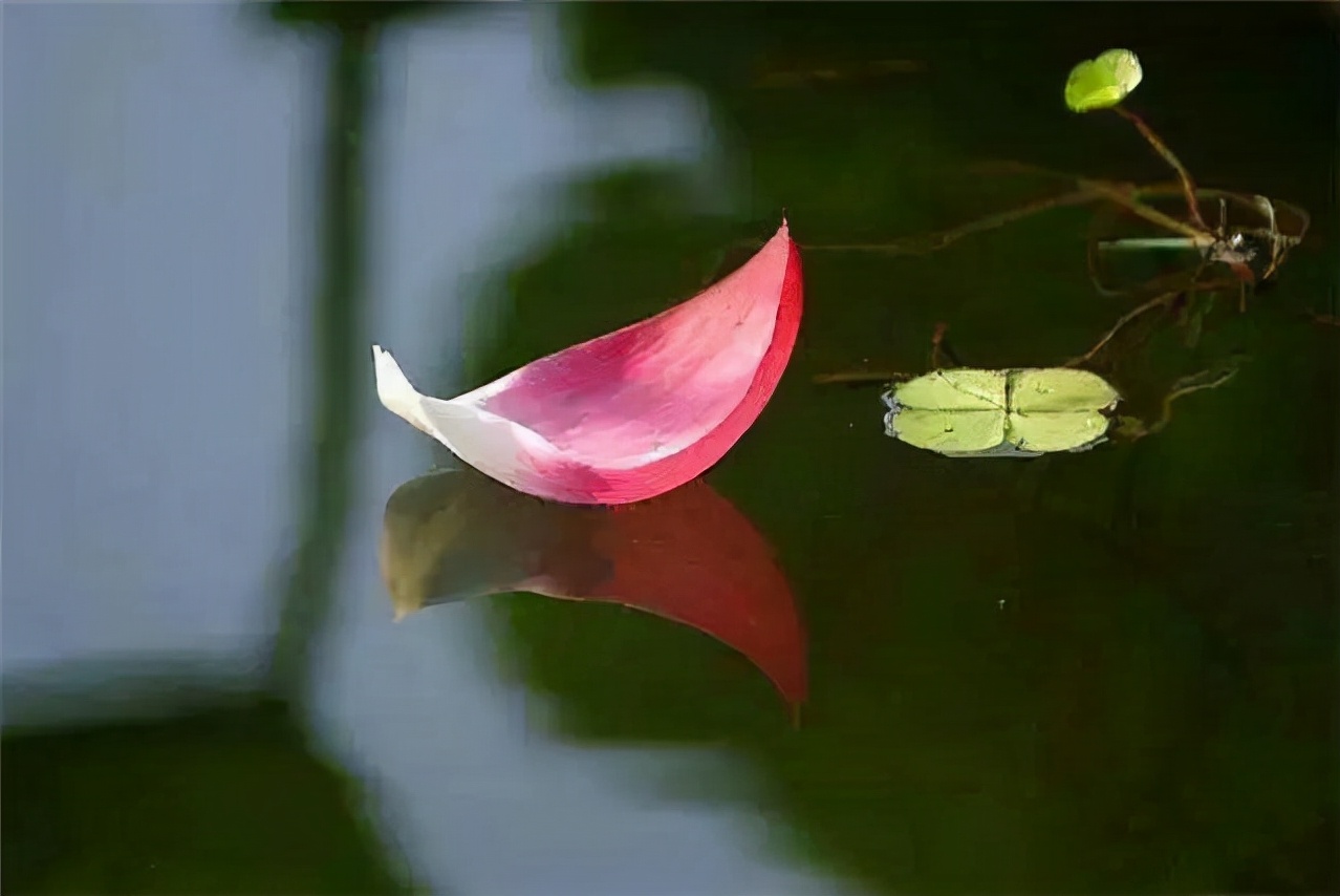 婚外情女人怎么和婚外情男人相处,面对婚外情的女人男人应该怎么办