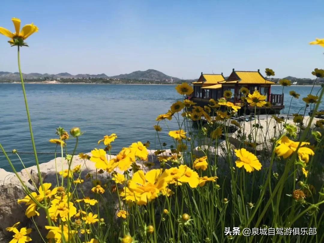 济南周边自驾1-2小时的好去处,2021济南出发五一自驾游推荐