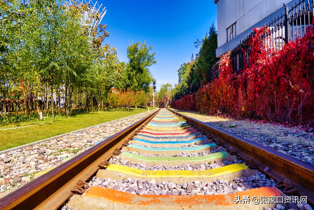 张家口新开的主题公园,张家口大好河山景观区夜景
