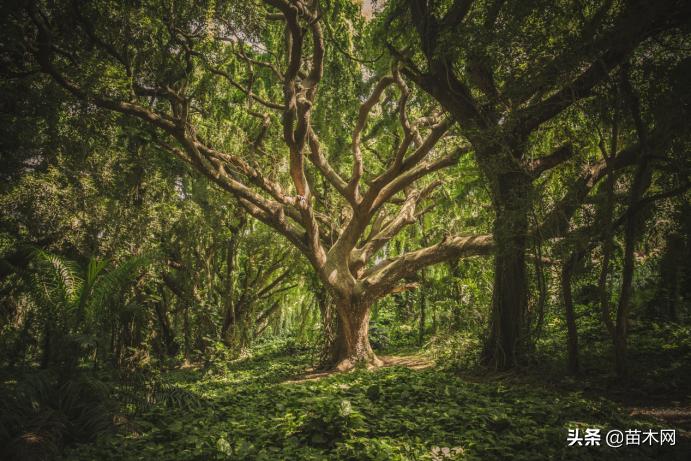 同样做餐饮你为何挣不到钱,做同样的生意为什么没别人生意好
