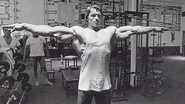 手臂哪些肌肉练了好看,手臂肌肉分析及训练方法