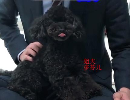 朴灿烈吴世勋关系分析,朴灿烈多芬吴世勋