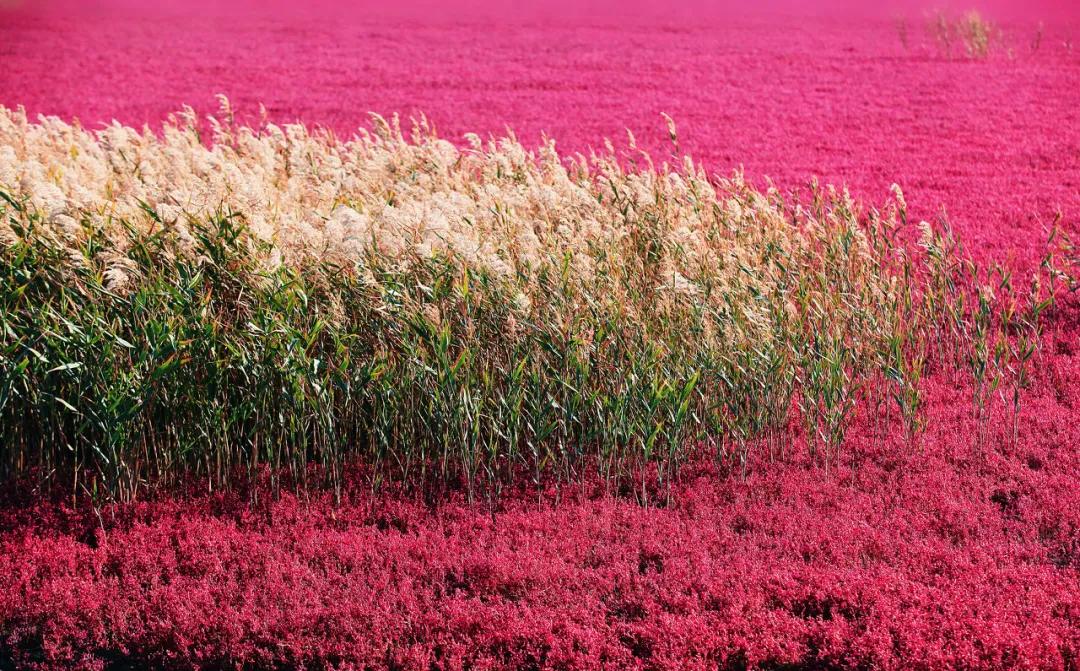 60岁前必去的中国各省区最美天堂,全国各省最美天堂你都去对了吗