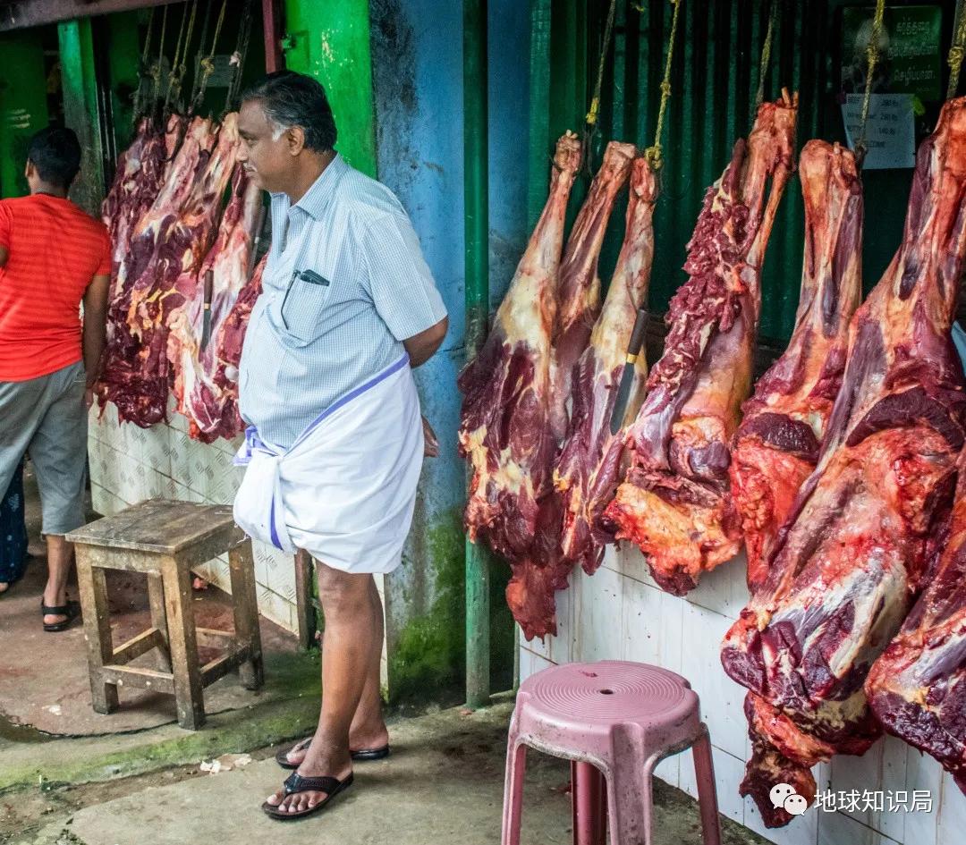 印度不让吃鸡肉吗,印度是不吃牛肉的国家吗
