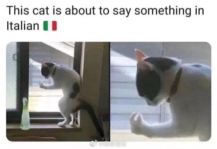 不愧是意大利人阅读理解,不愧是意大利人拍出来的风情