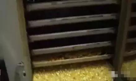 原来这些石头都是烤箱里做出来的