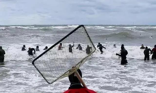 海滩捡蜜蜡,海边捡蜜蜡的利润
