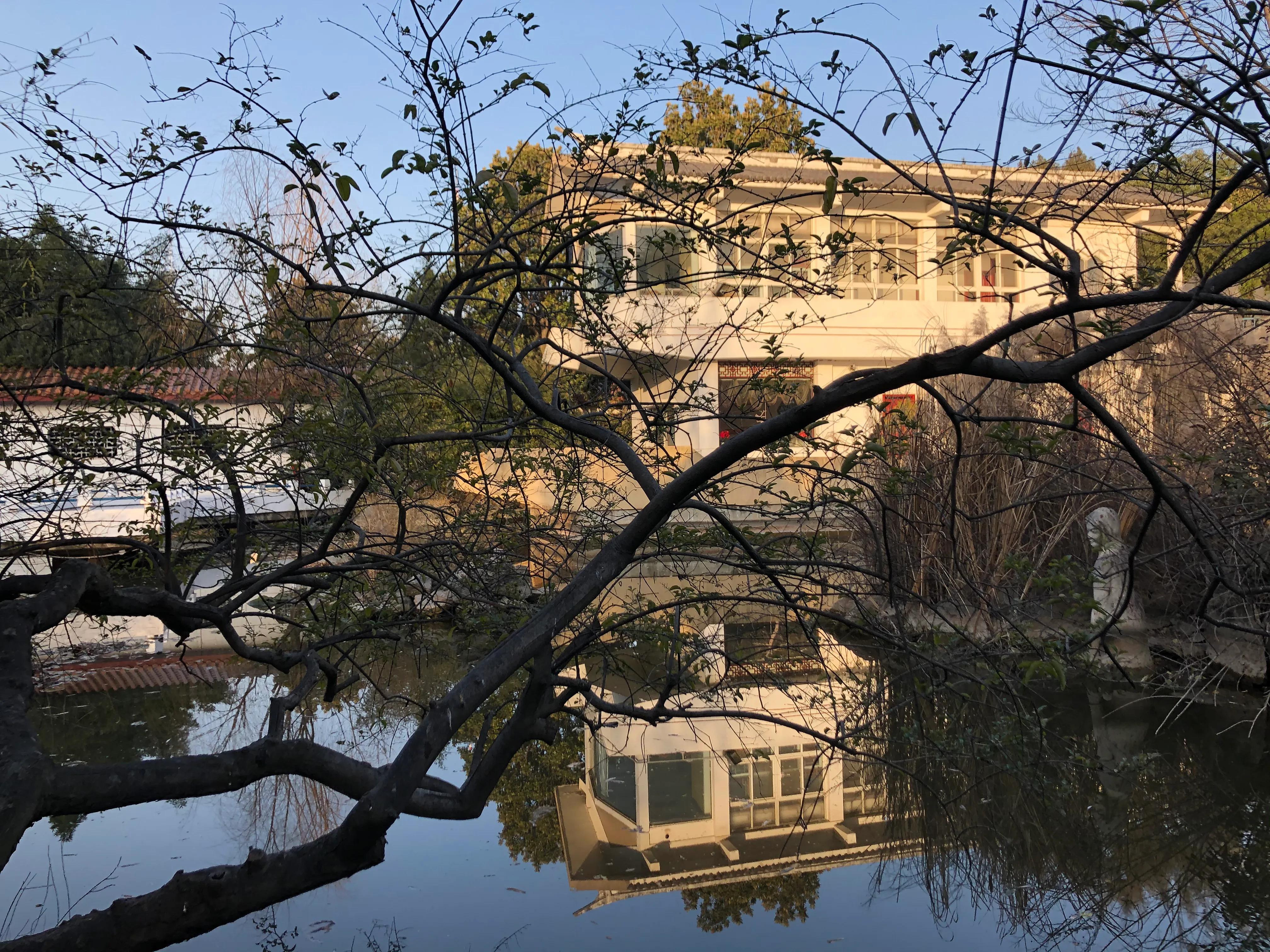 平顶山河滨公园旅游攻略,平顶山森林公园游记