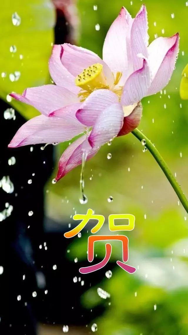 天然翡翠财字,翡翠字体图片欣赏