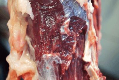 潮汕正宗牛肉丸百年祖传手法,牛肉丸潮汕卖2个亿