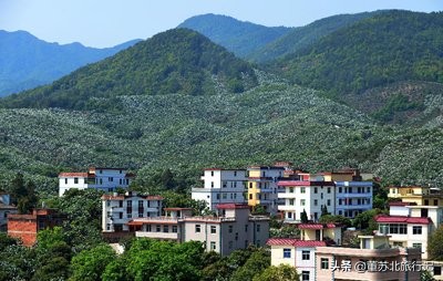 城市简介视频,城市简介图片