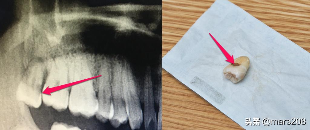 油腻靠边站，12件自用个护好物分享，给你从头到脚的清爽