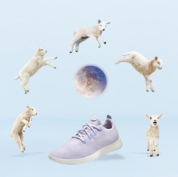 阿迪最火爆的网红鞋,耐克阿迪为什么是潮鞋