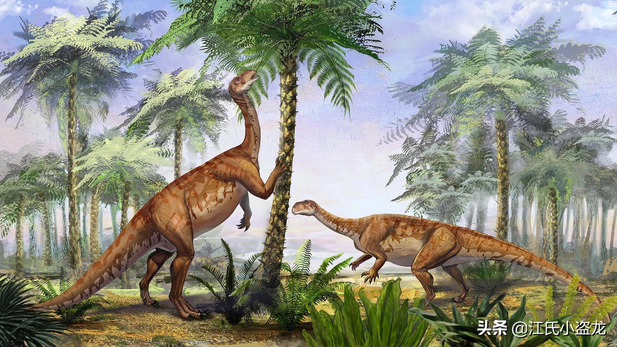 古生物时代有多少种恐龙,人类已经发现了多少恐龙种类