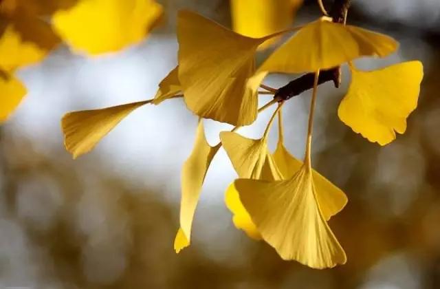 浙江各地市误解,你以为的临安vs实际上的临安